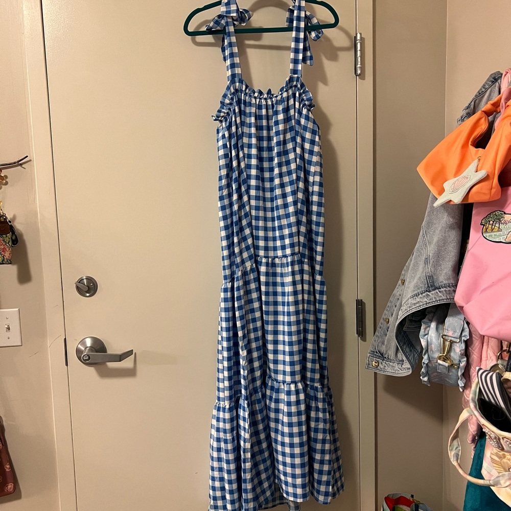 Goodnight Macaroon Blue and White Gingham Maxi Dress - Picture 4 of 7